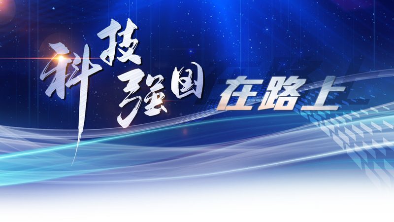 电商平台外包开发平台选择要点：技术架构与性能考量